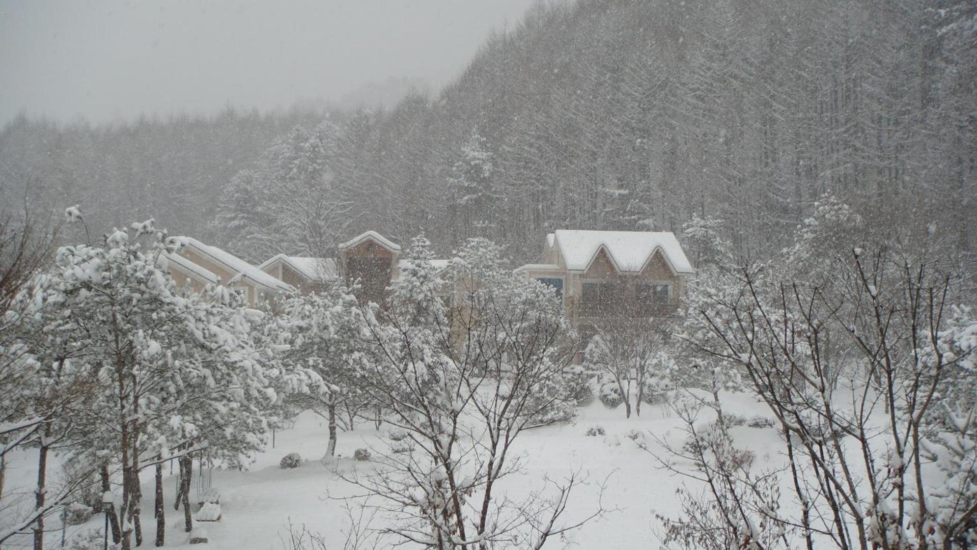 Shinevalley Pension & Hotel, 평창군, 대한민국 - 10