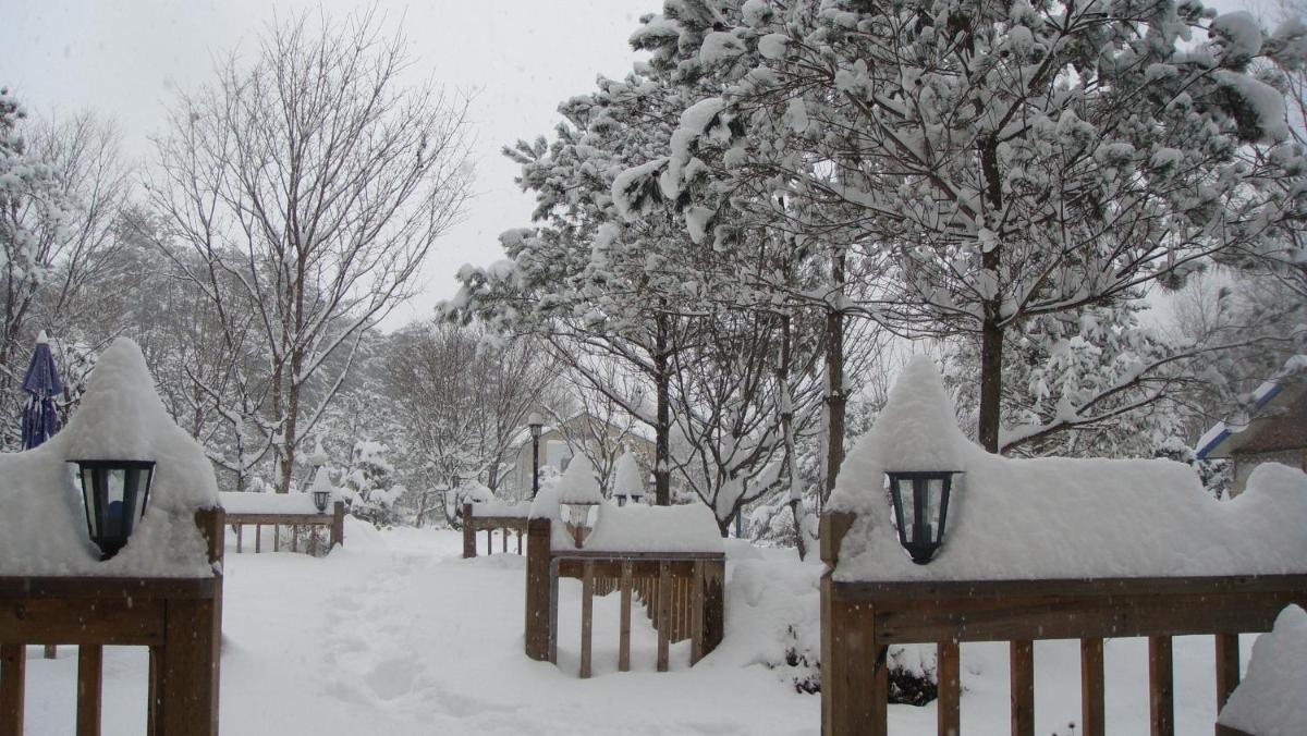 Shinevalley Pension & Hotel, 평창군, 대한민국 - 23