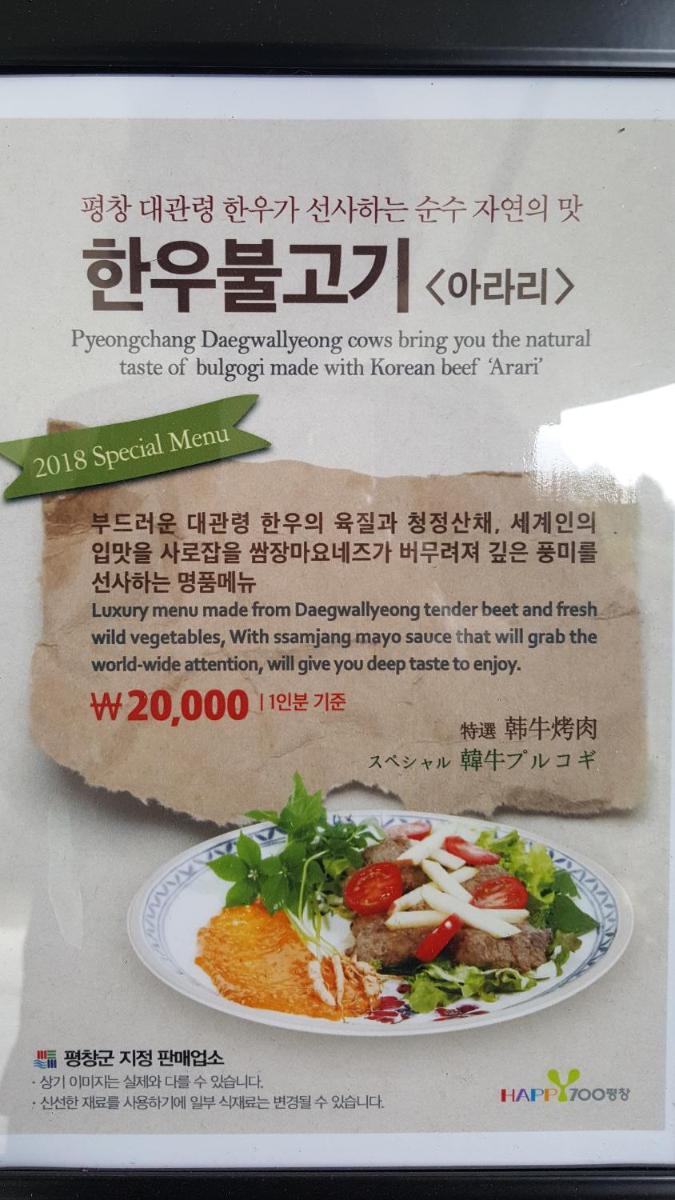 Shinevalley Pension & Hotel, 평창군, 대한민국 - 2