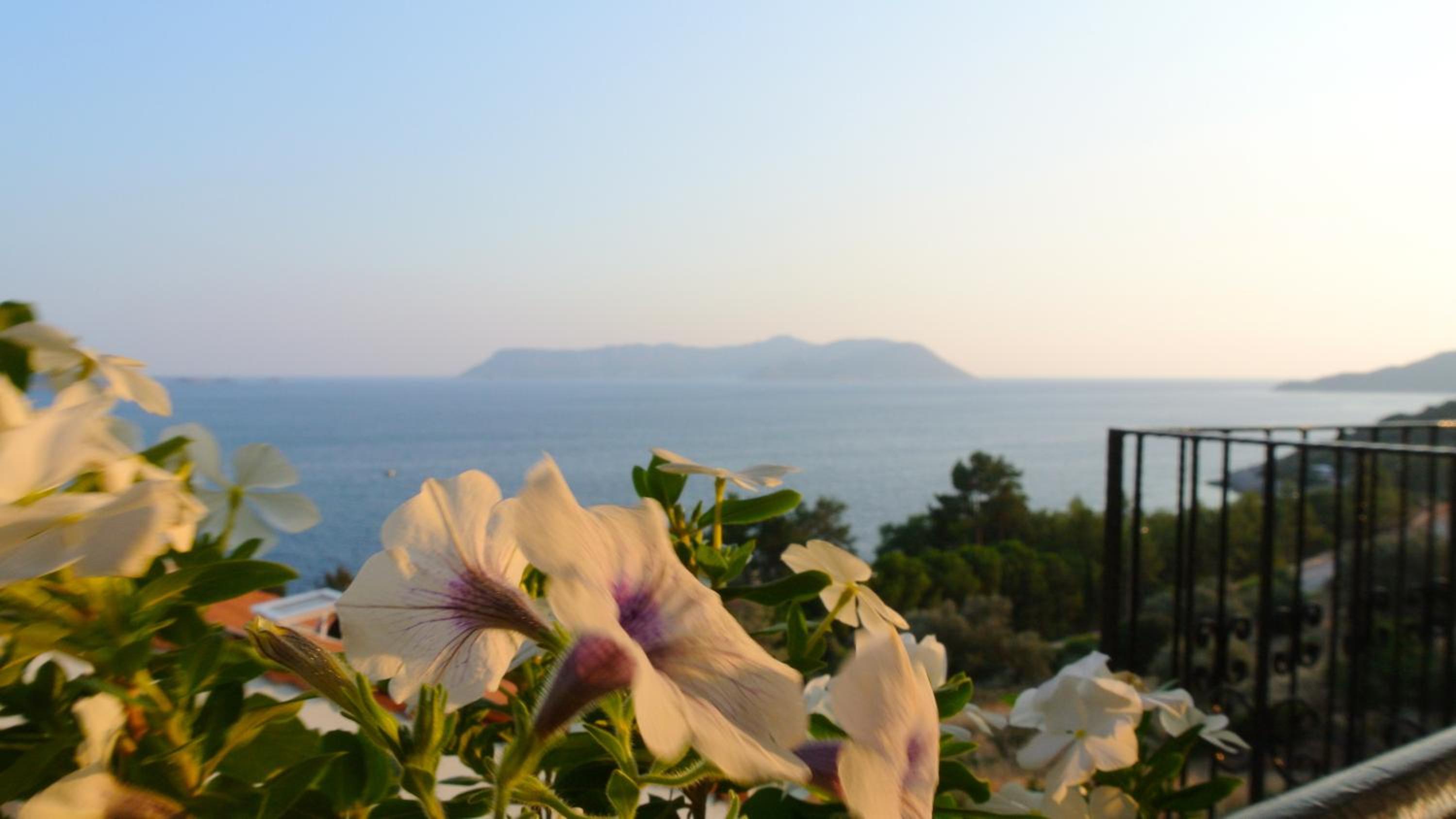 Hideaway - Image 173