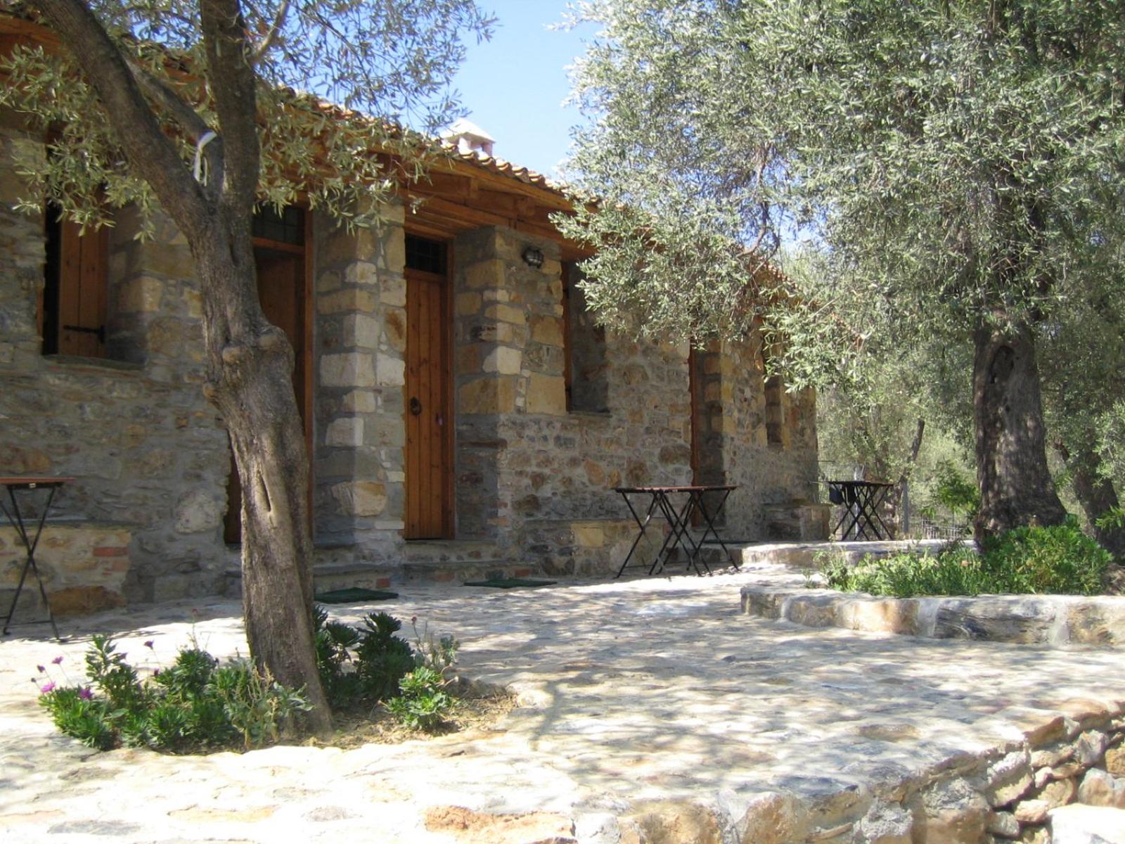 Photo 26