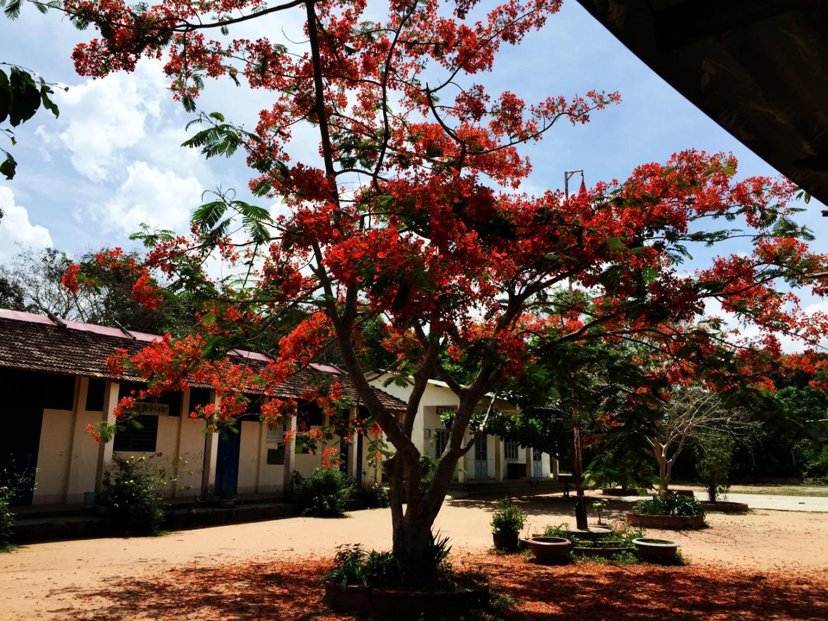 Tropical Garden Phu Quoc