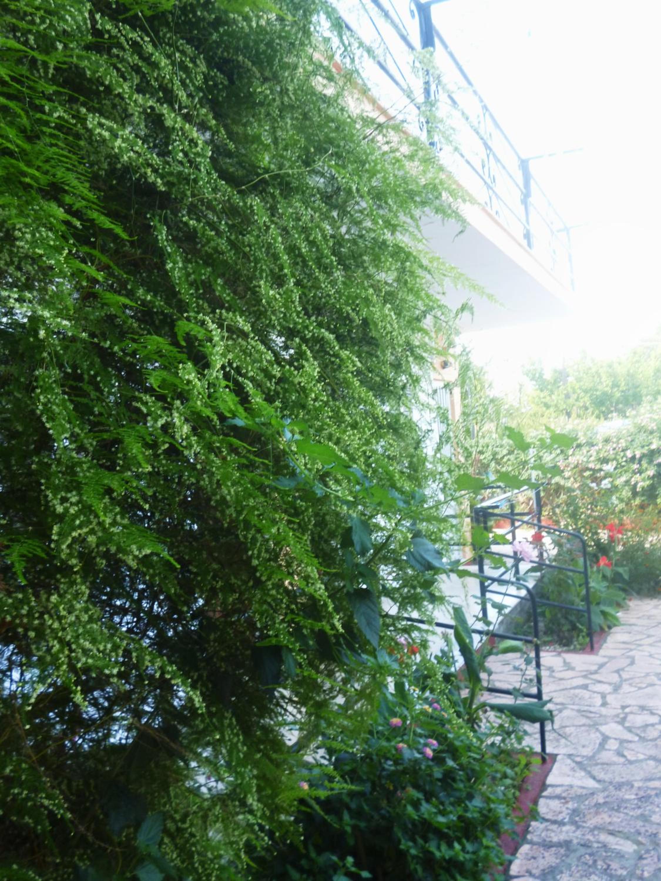 Kostas Apartments & studios