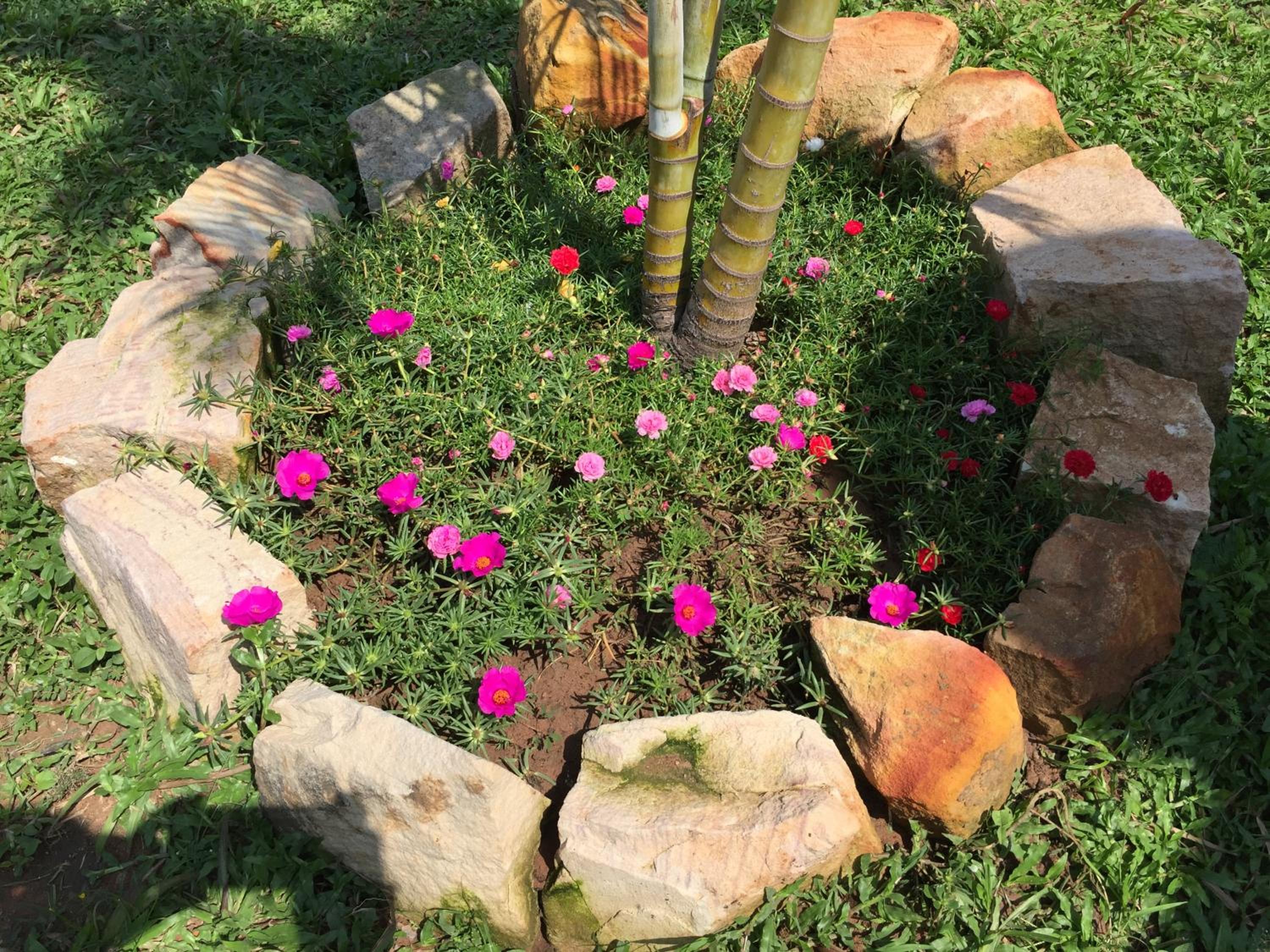 Tropical Garden Phu Quoc
