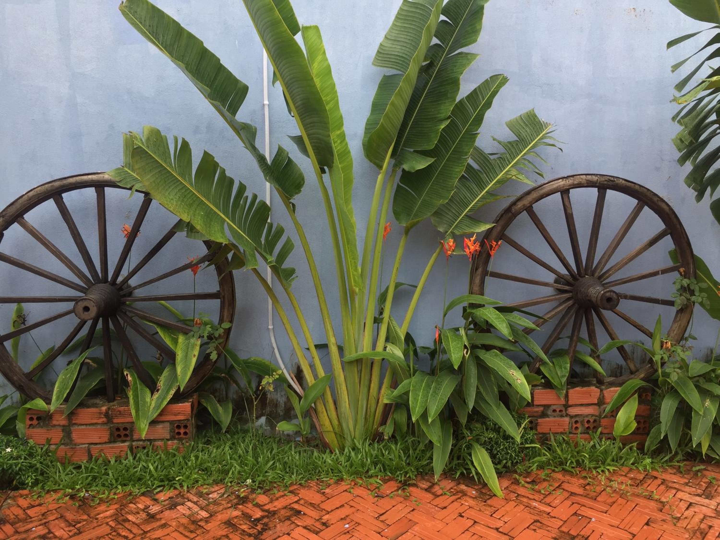 Tropical Garden Phu Quoc