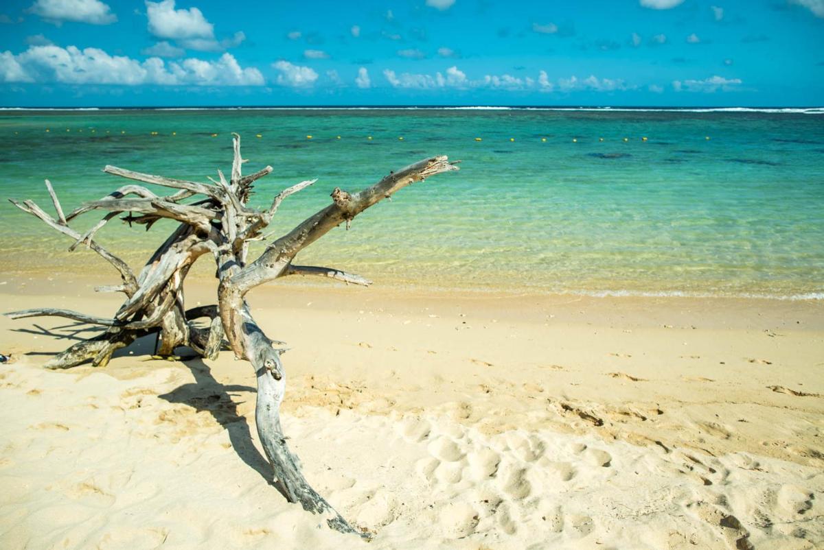 Villa Solara by Oazure photo 3