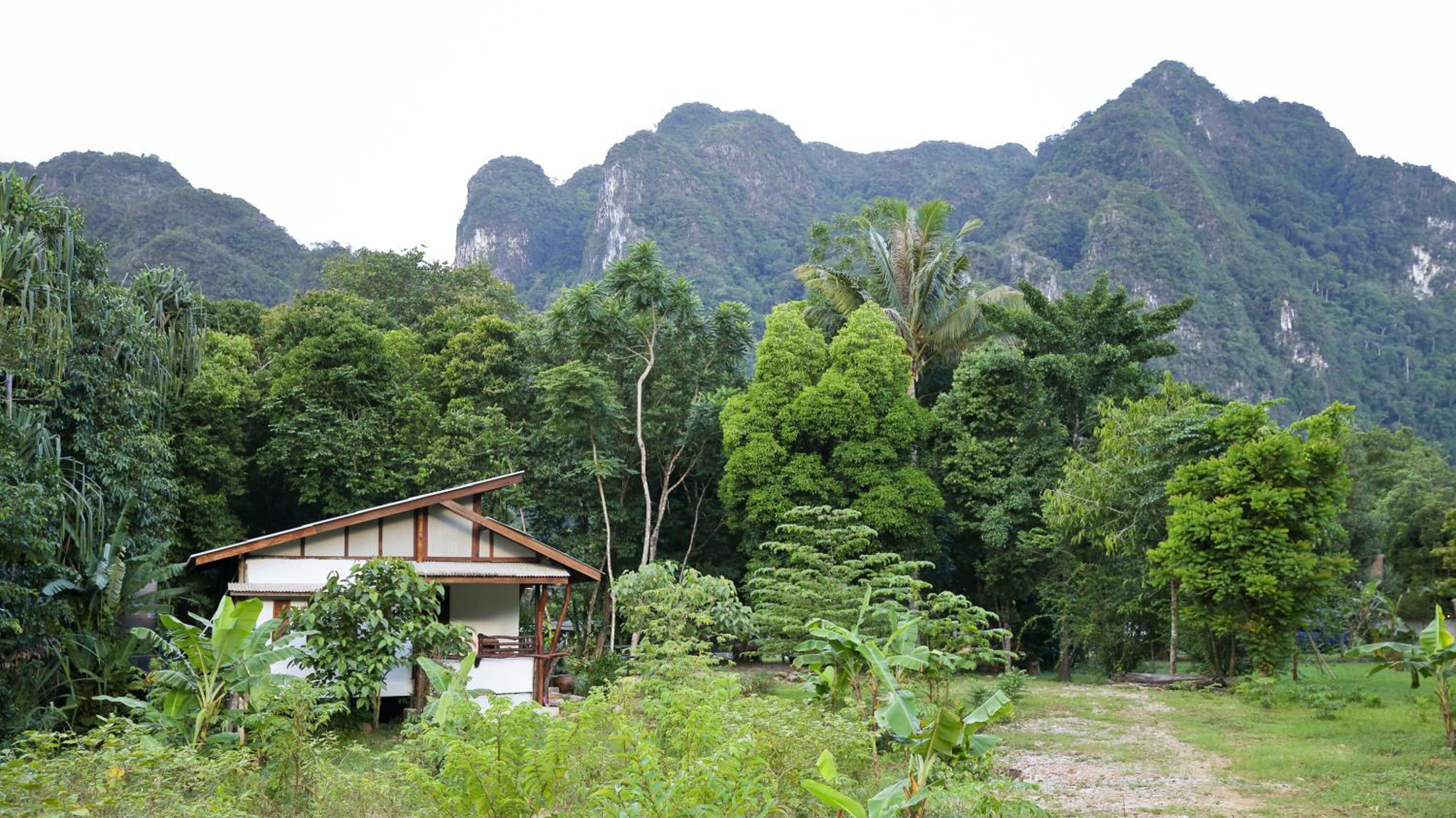 Khao Sok Homestay Resort
