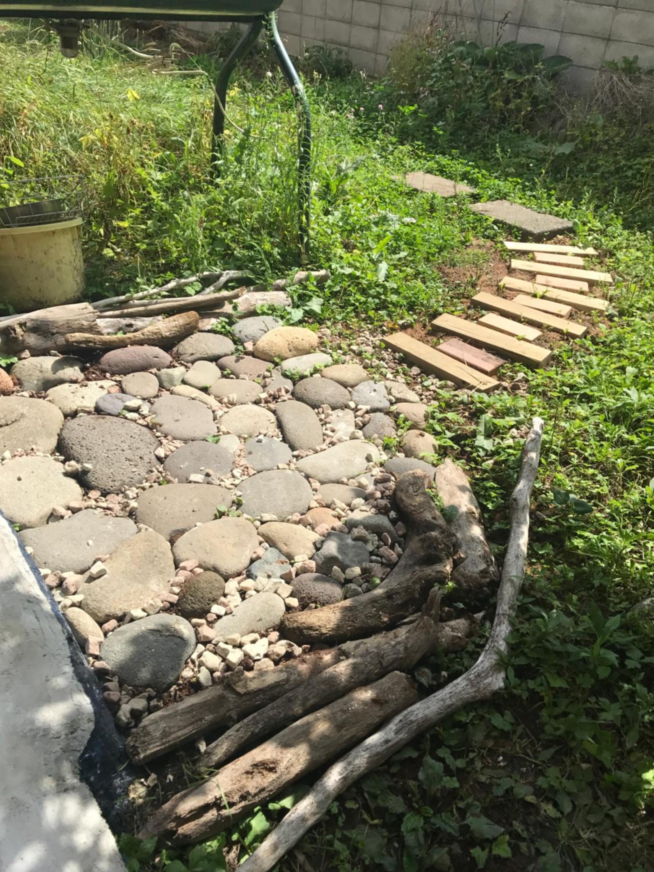Photo 31