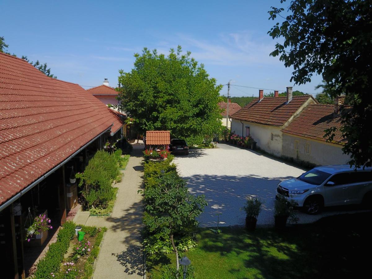 Photo 42