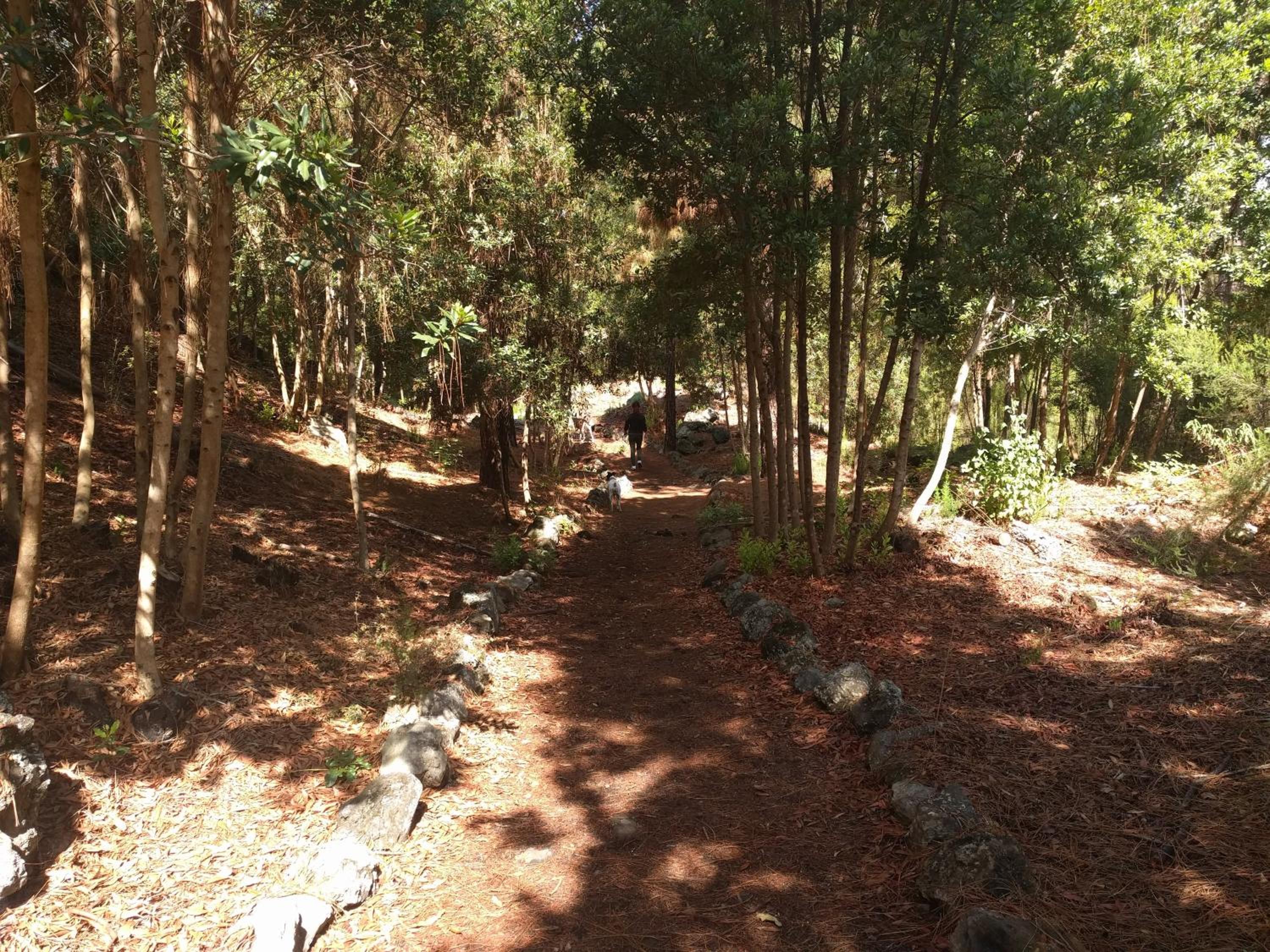 Photo 17