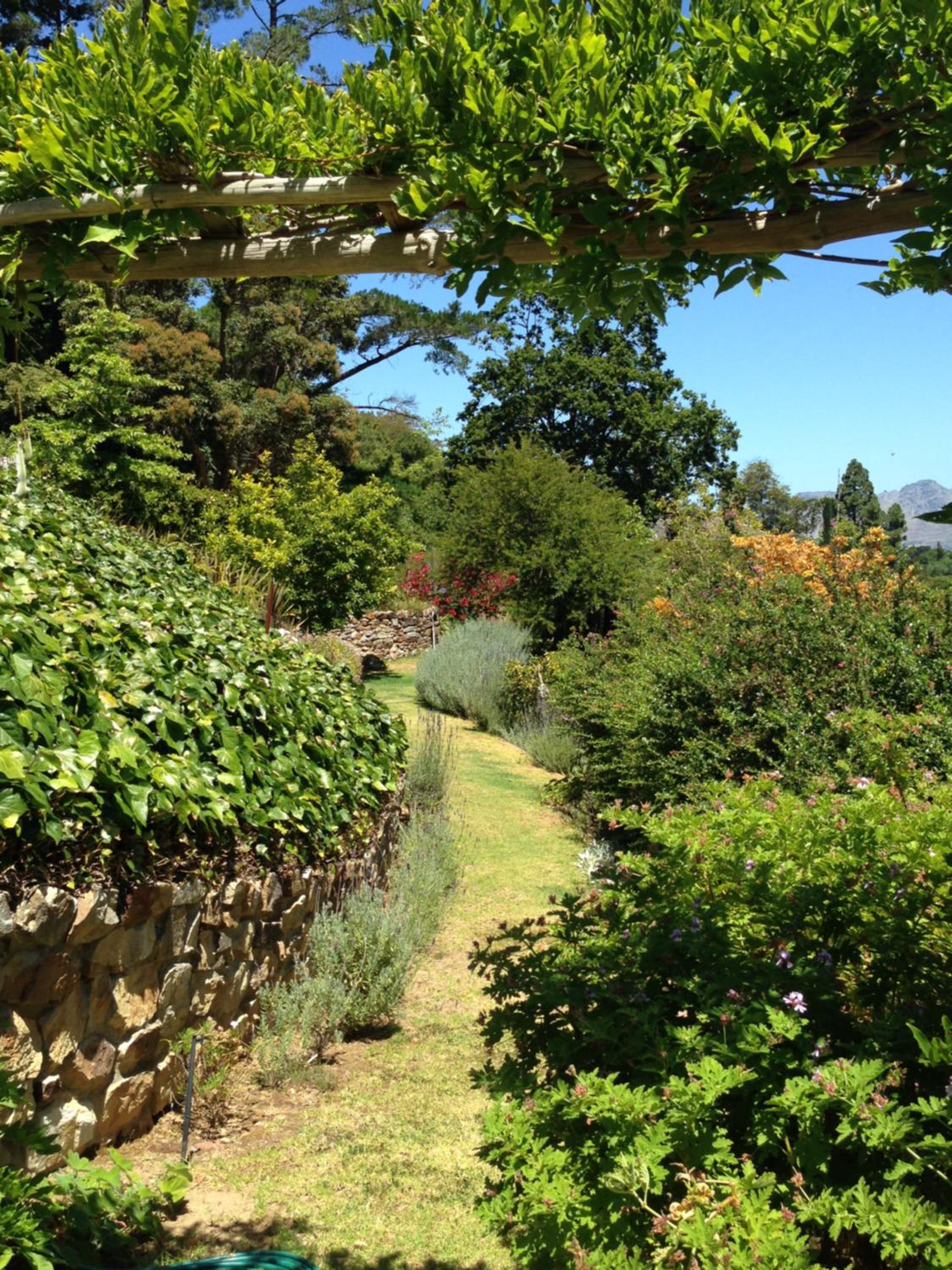 Photo 25