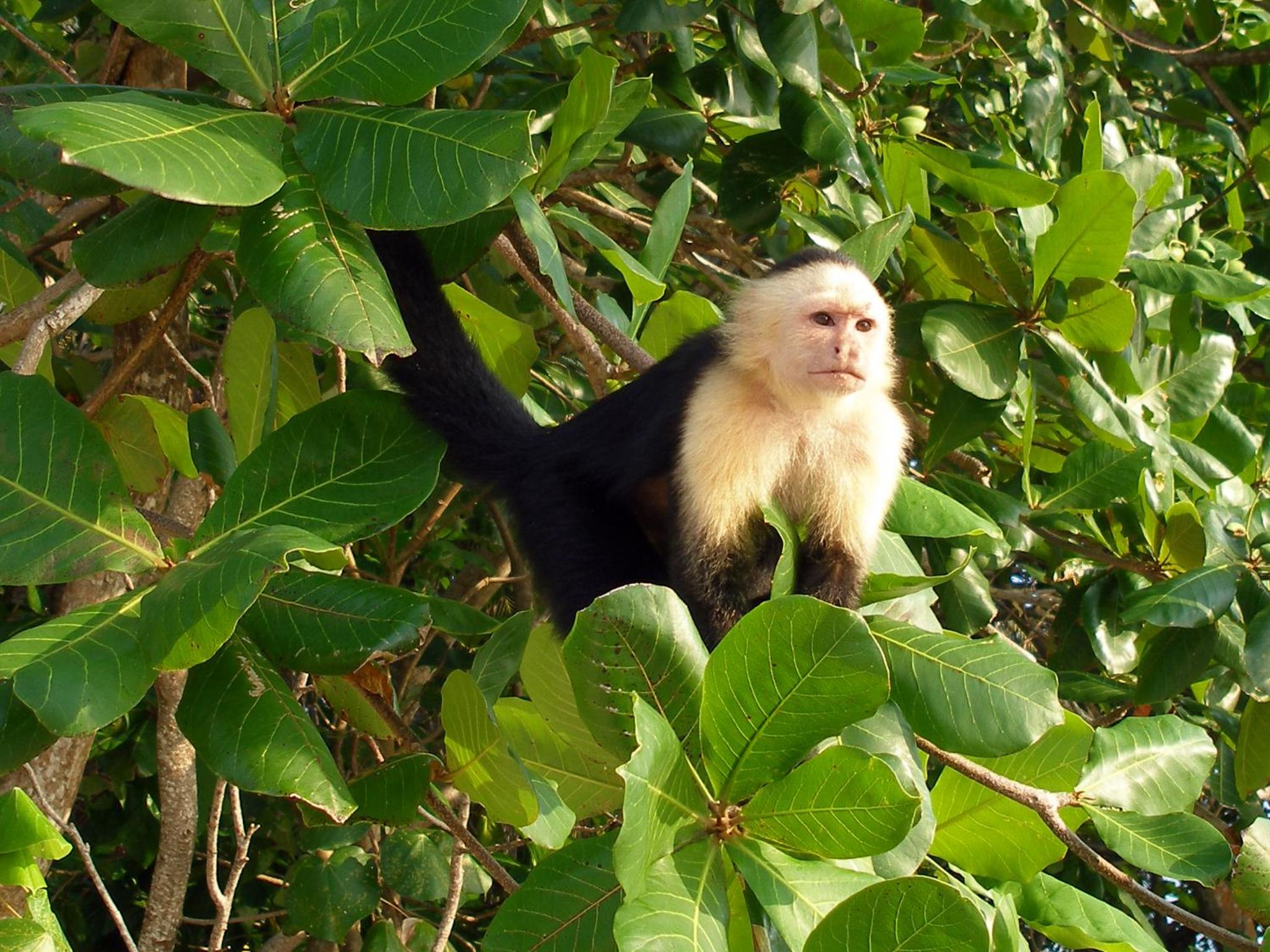 El Colibri Lodge