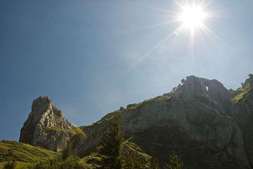 Chalet Murmeli
