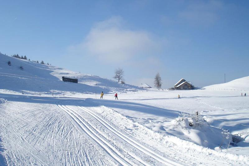 Chalet Murmeli