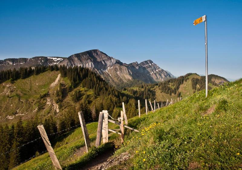 Chalet Murmeli