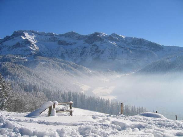 Chalet Murmeli