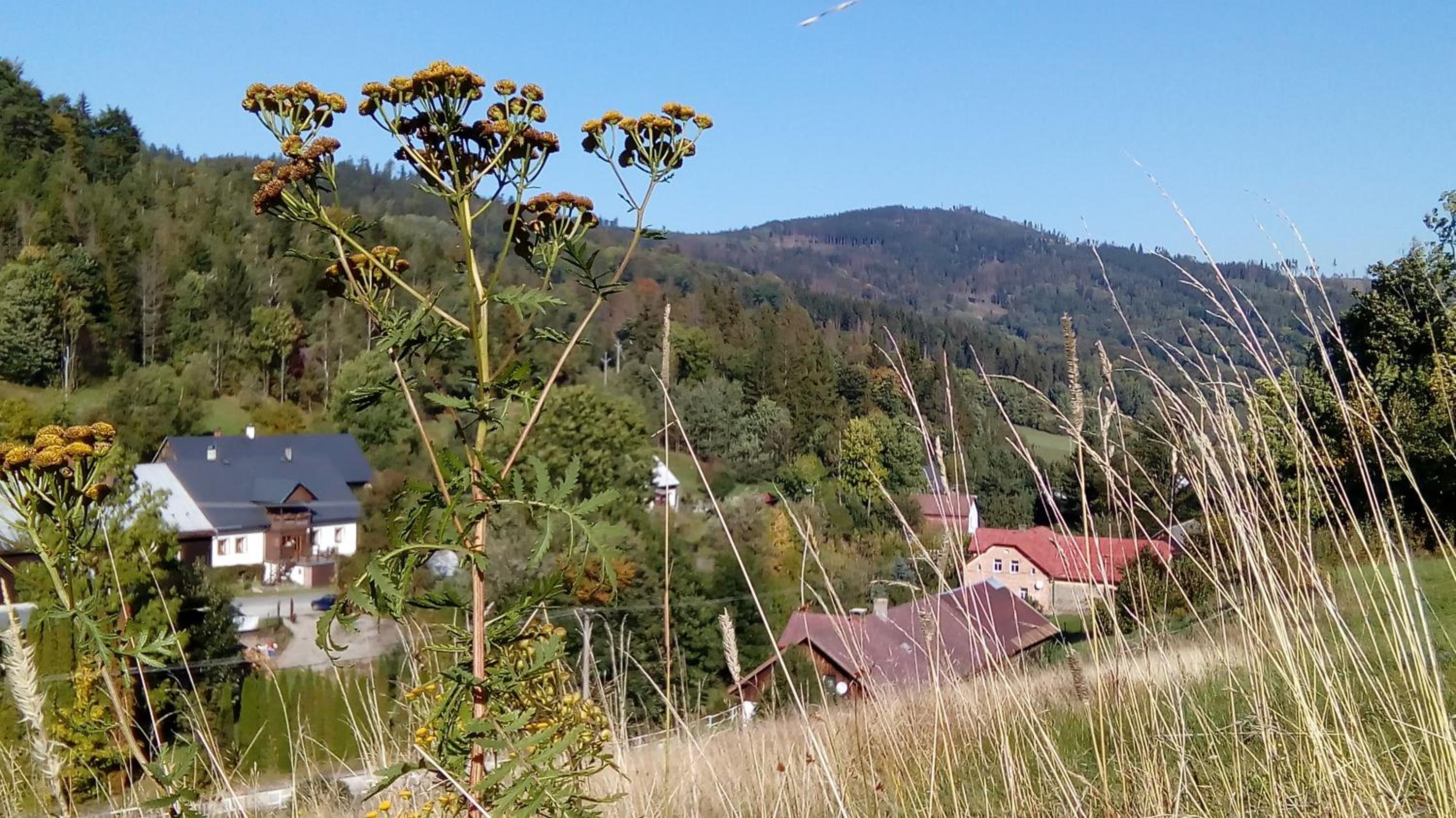 Penzion Edelštejn