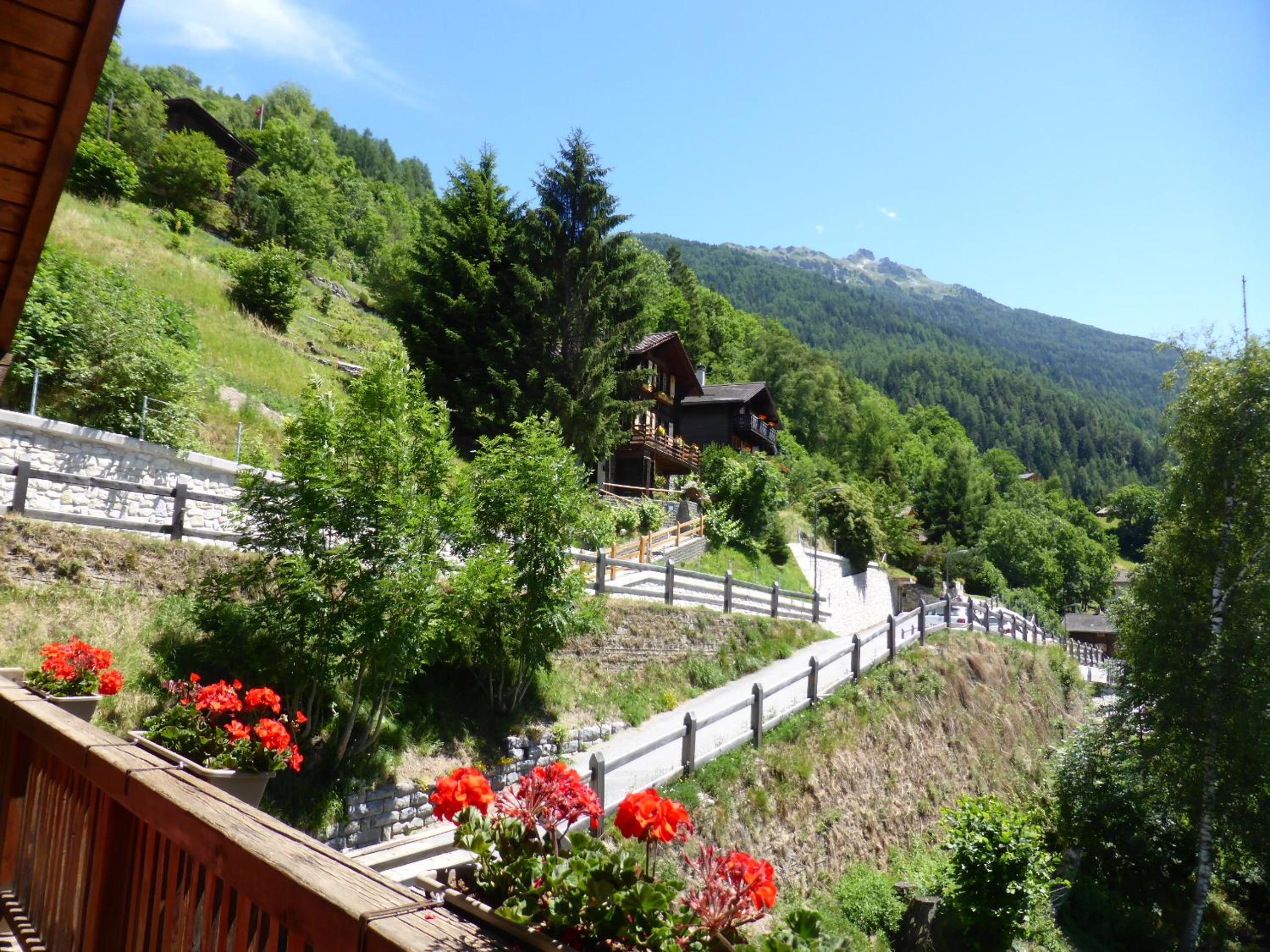 Singlinaz