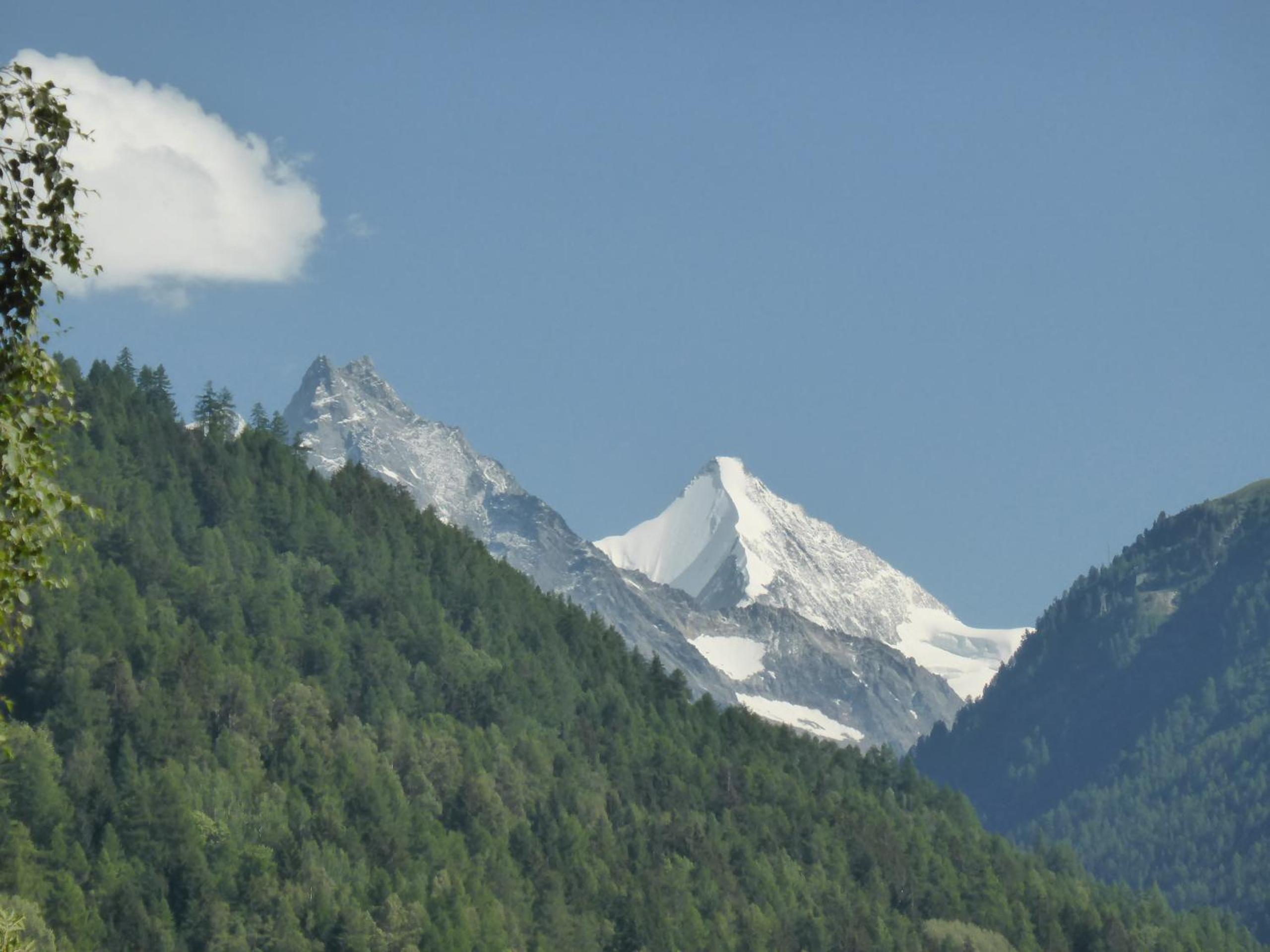 Singlinaz