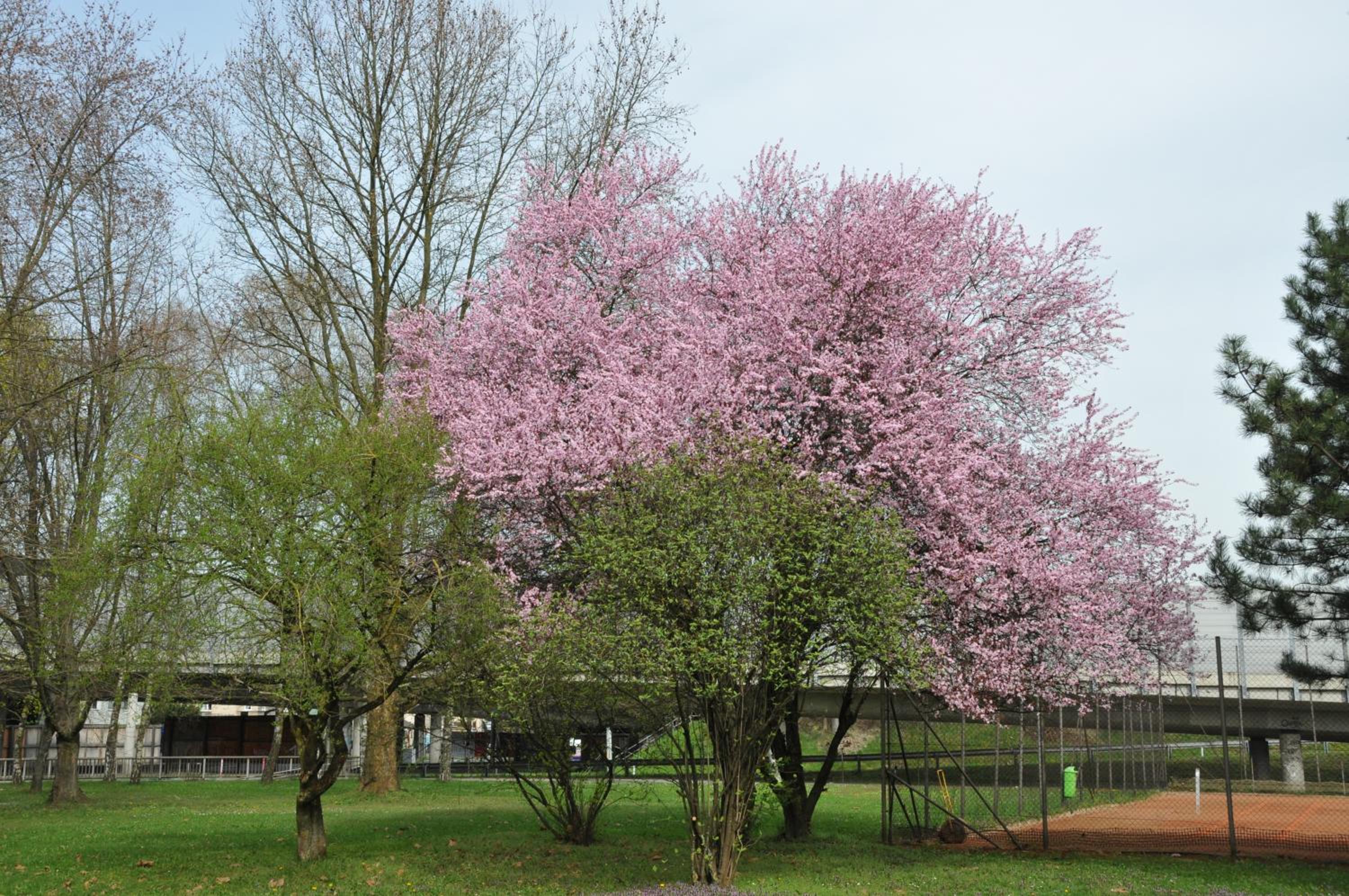 Linz Vacations - Ibis Styles Linz - Property Image 92