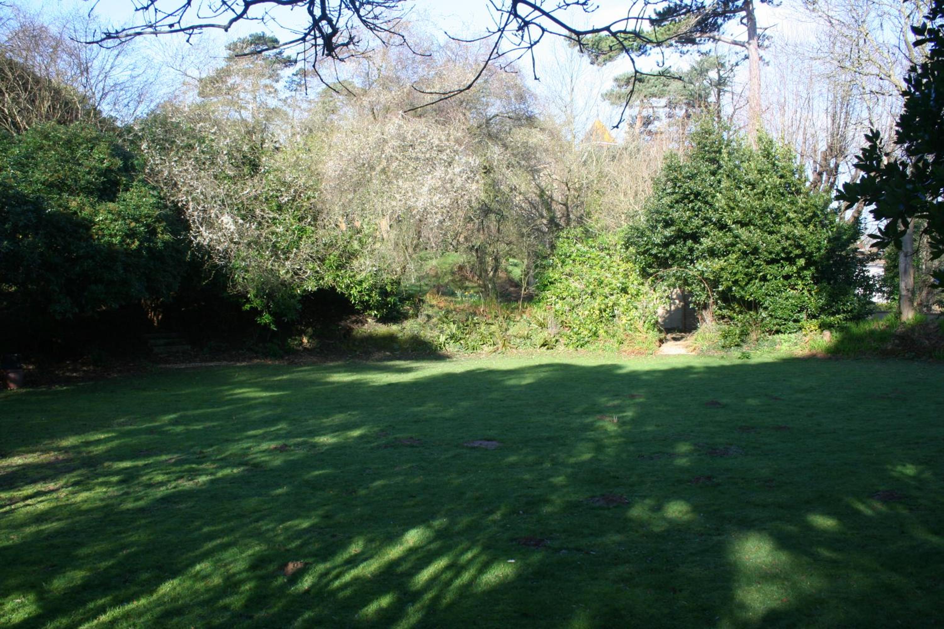 Photo 26