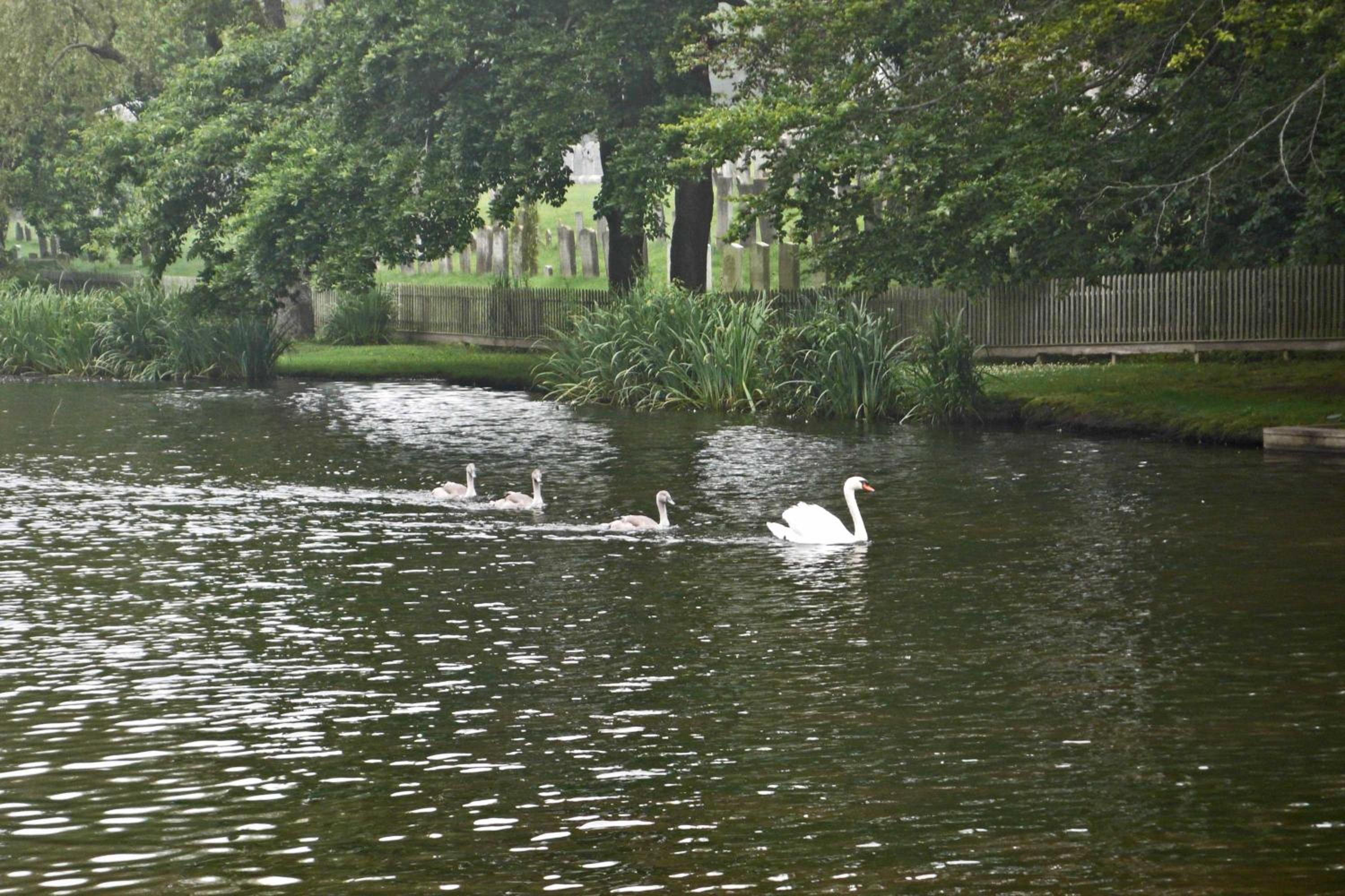 Photo 6