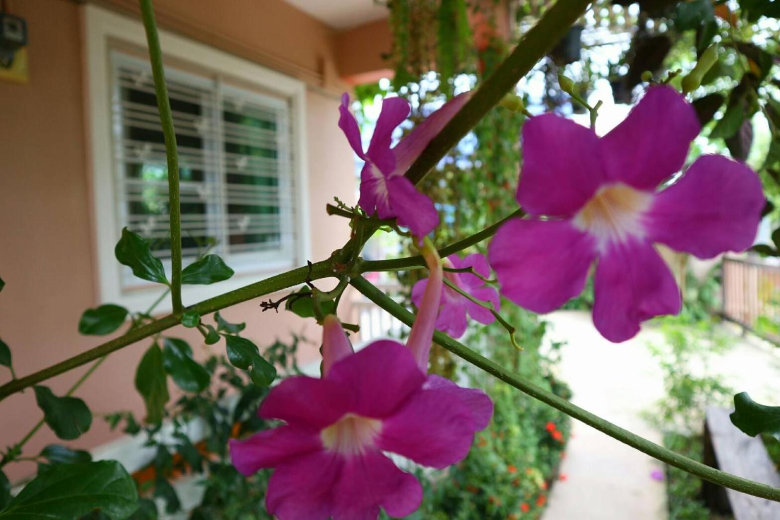 Lampang Lanna Home
