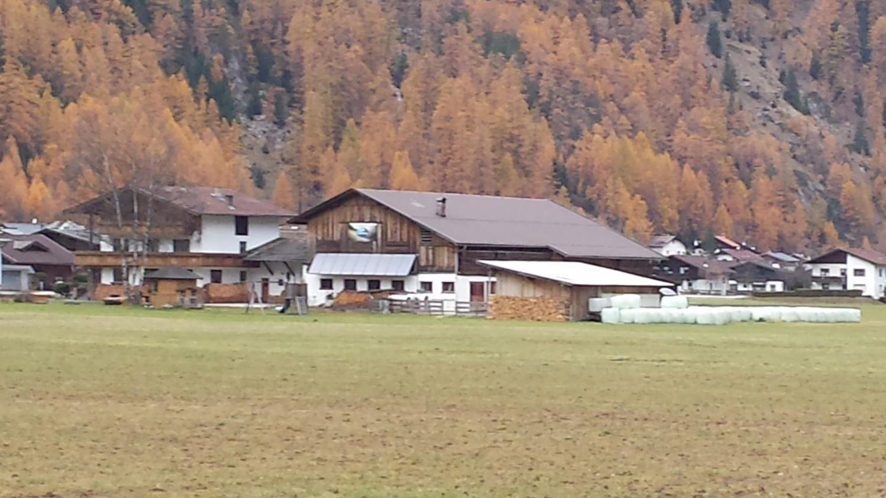 Hauseggerhof