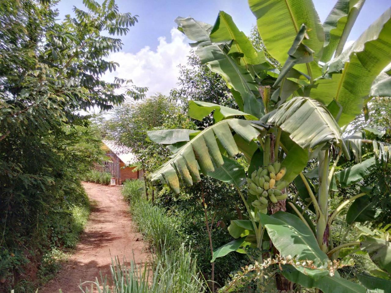 Lak Tented Camp, photo 70