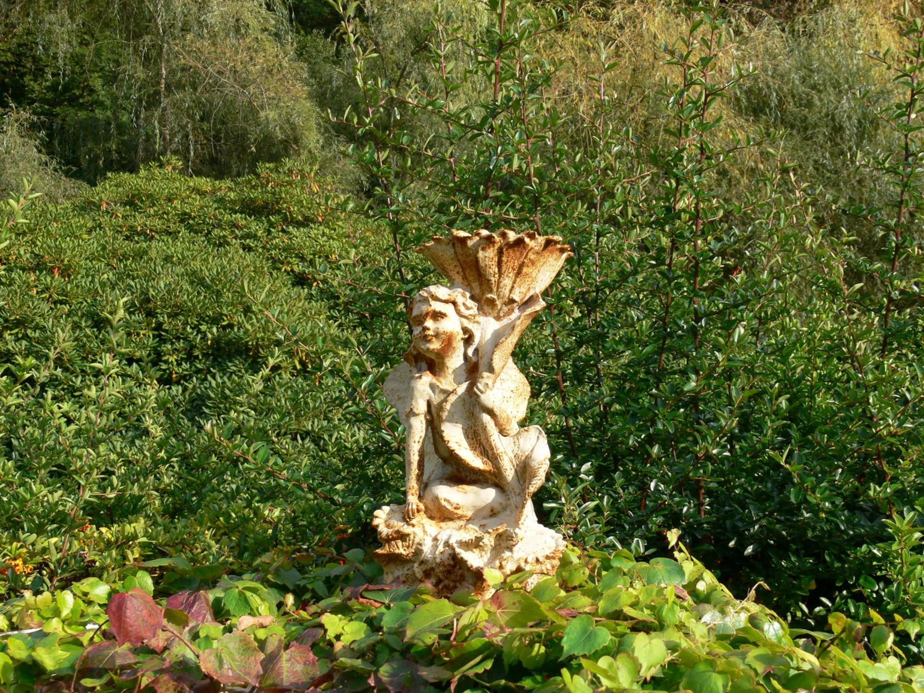 Photo 28
