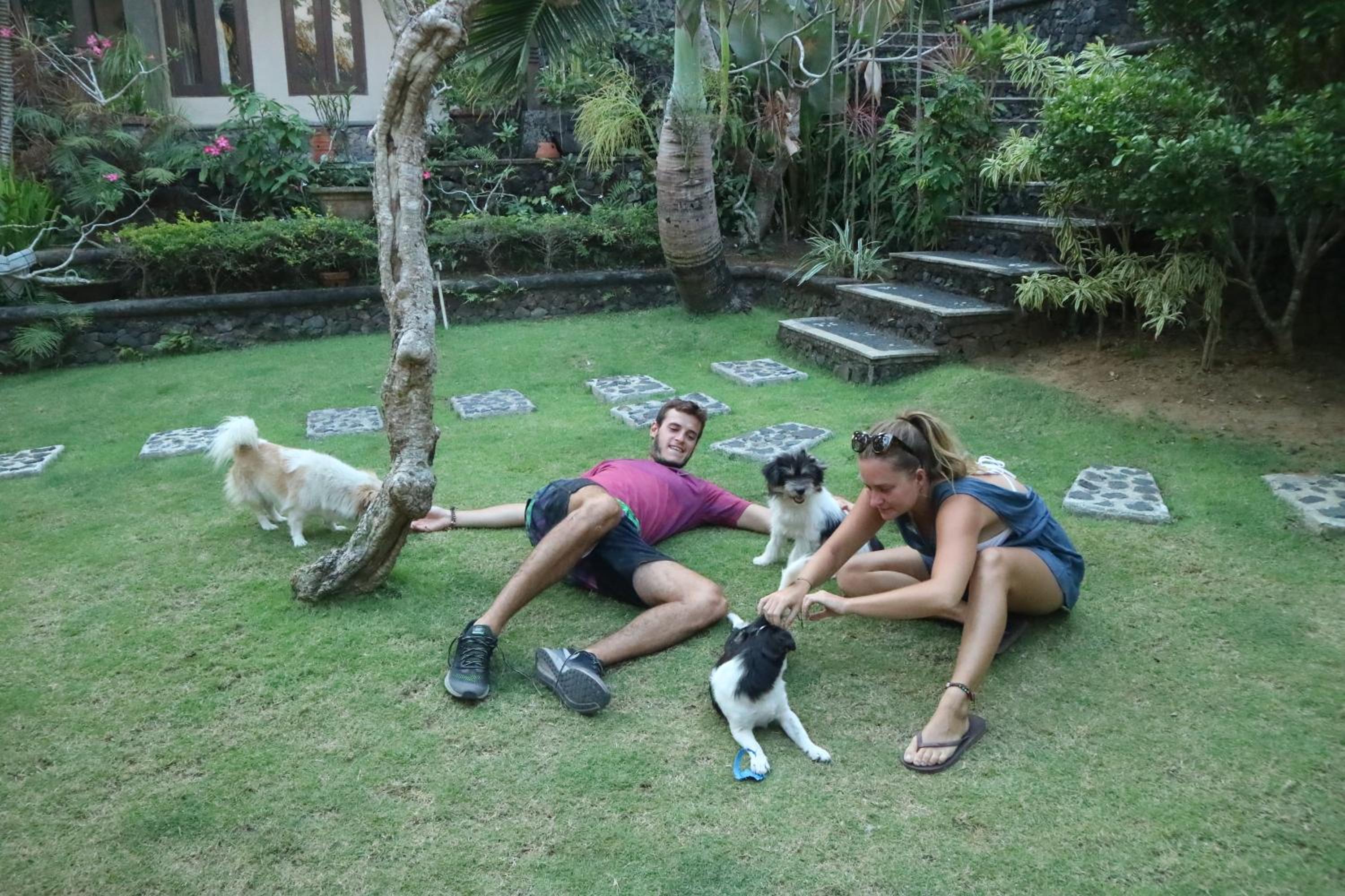 Home-Bience Hostel