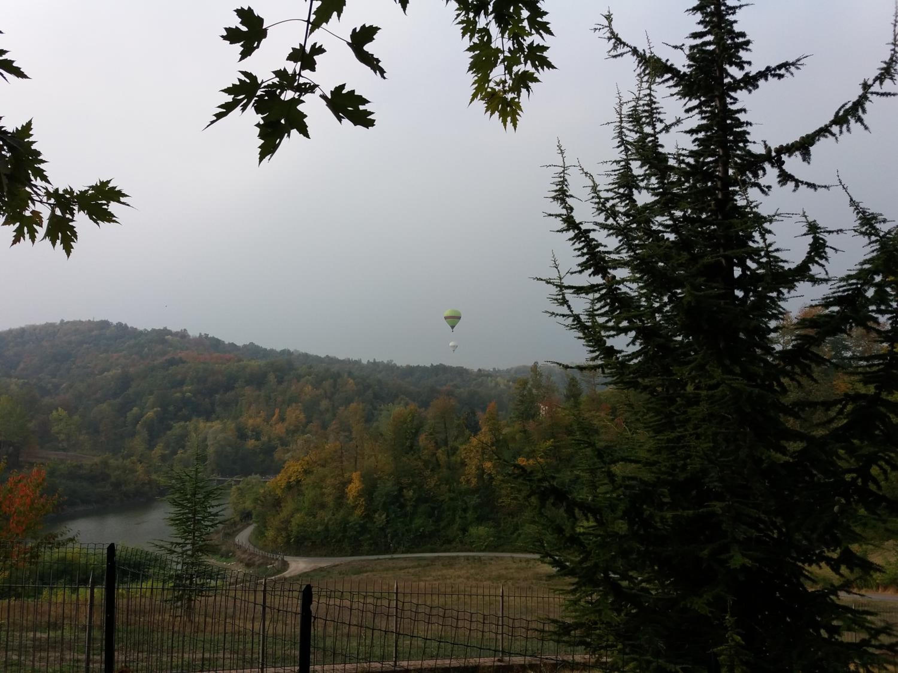 Photo 20