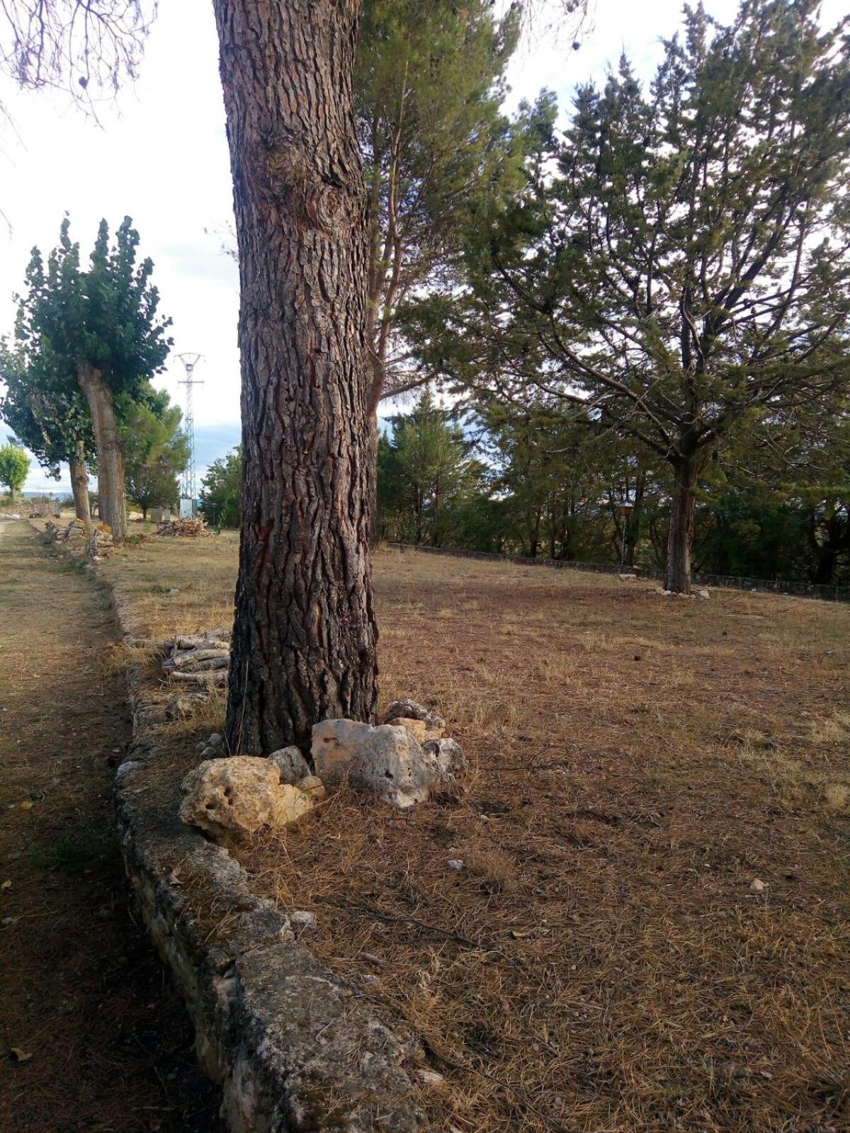 Photo 38