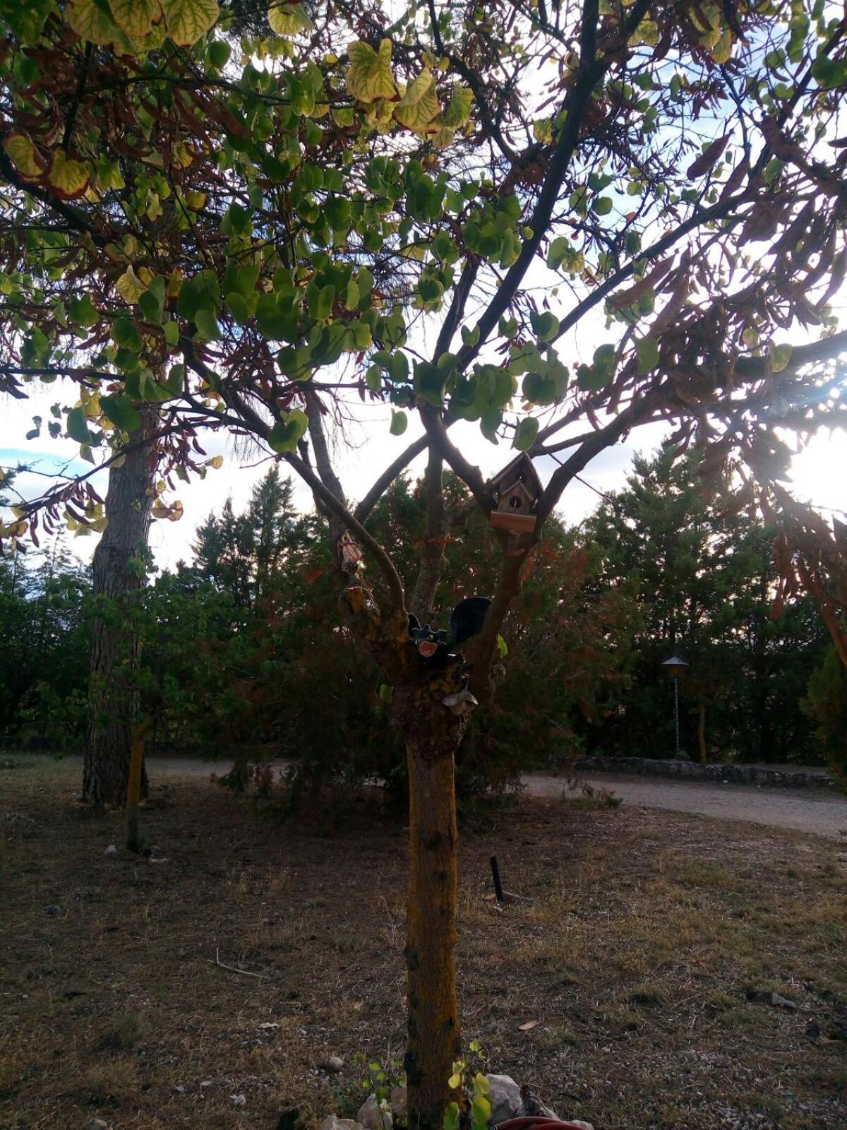 Photo 34