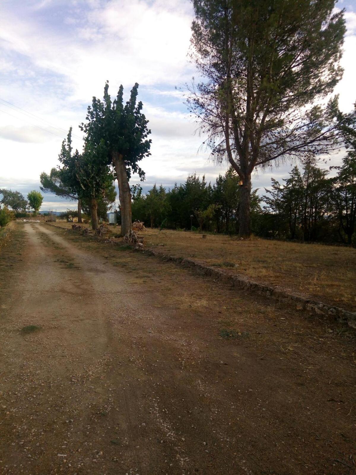Photo 37