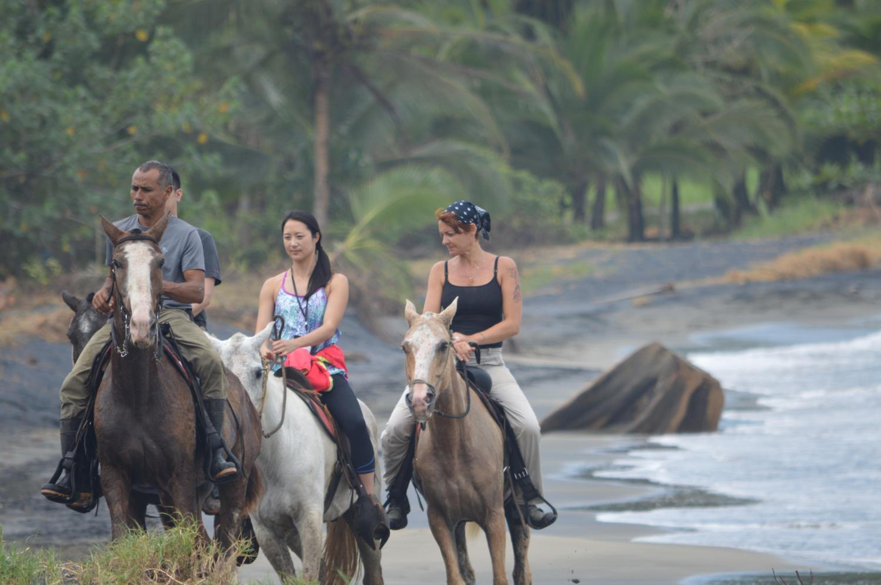Finca Valeria Treehouses Glamping