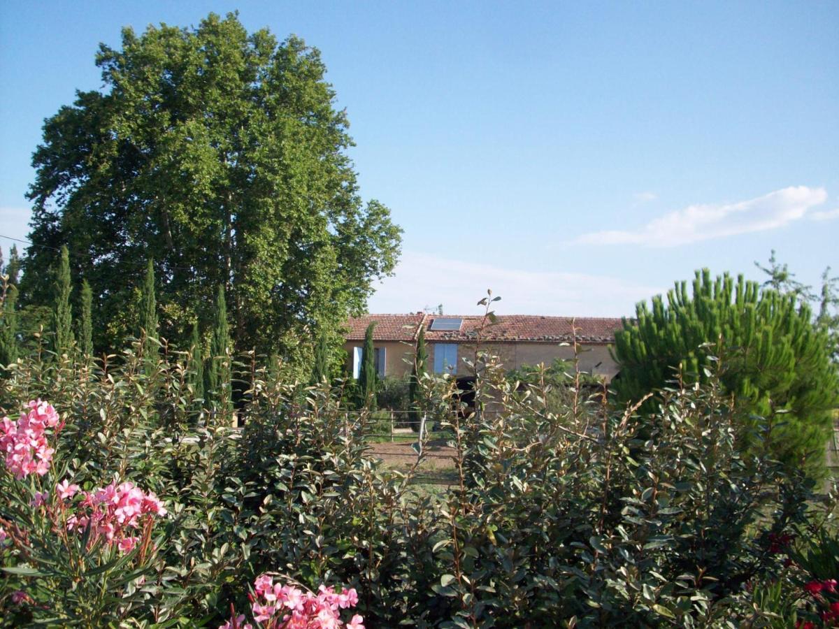 Orange Vacations - Mas du Puits d'Amour - Property Image 12