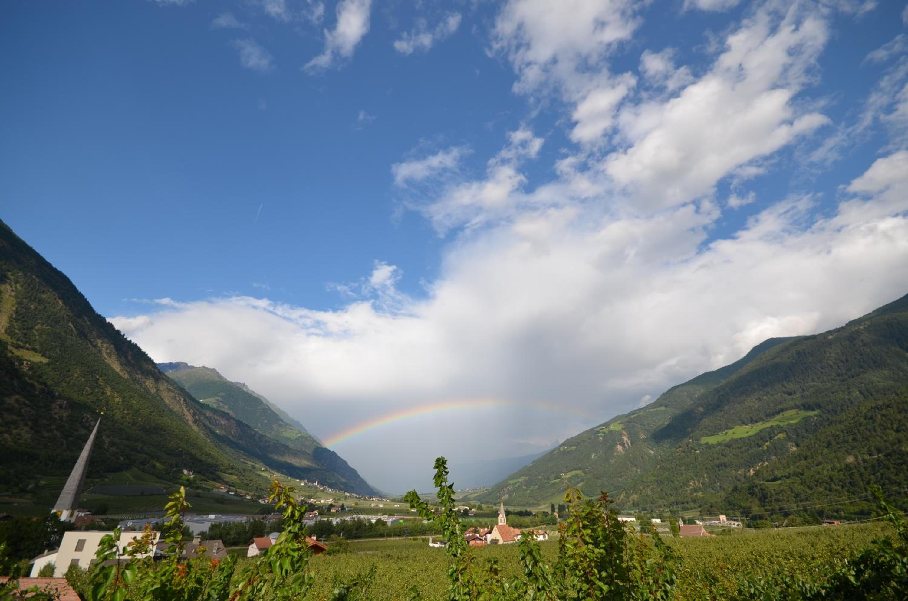 Panoramahof