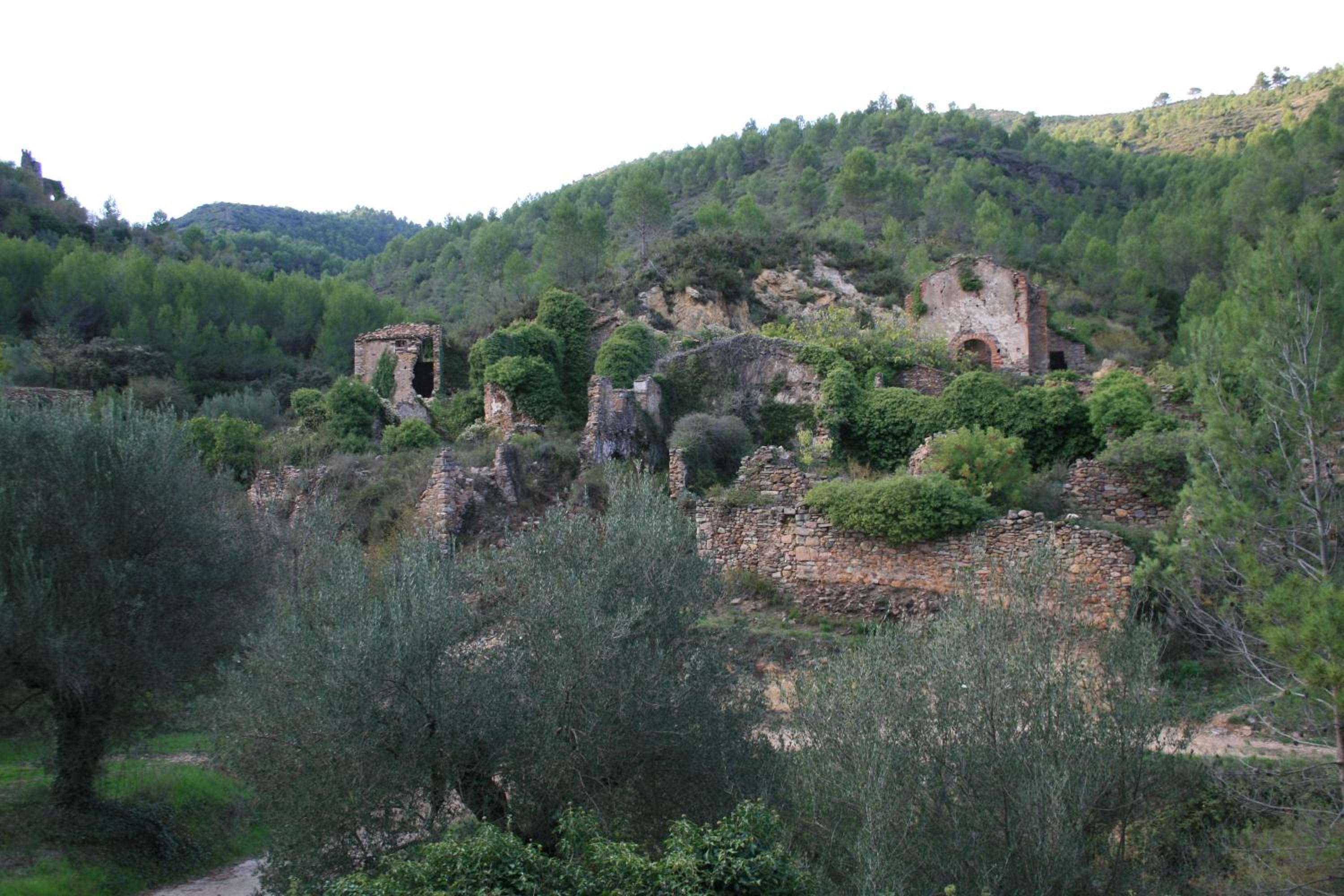 Photo 27