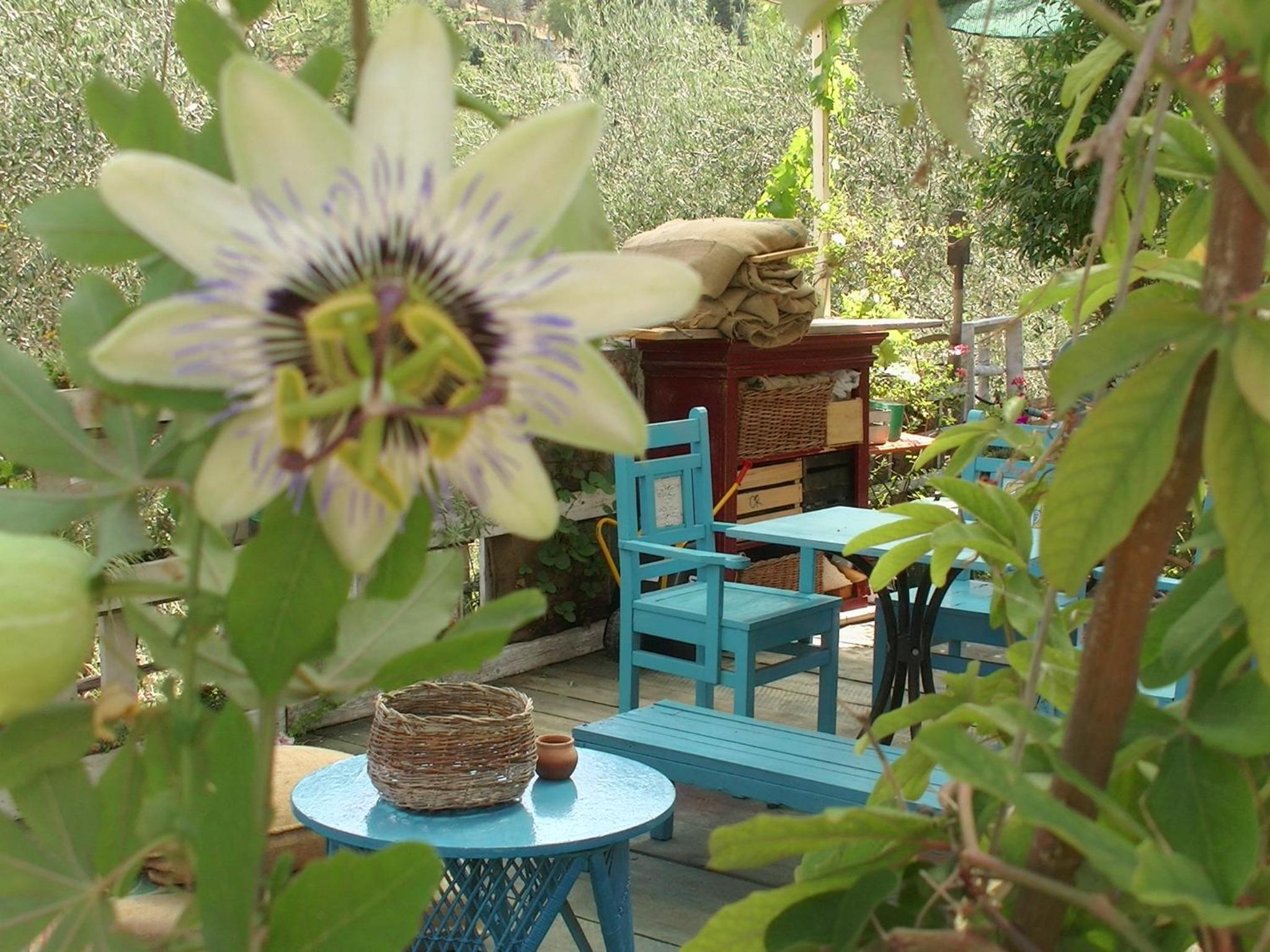 casa al colle view 4