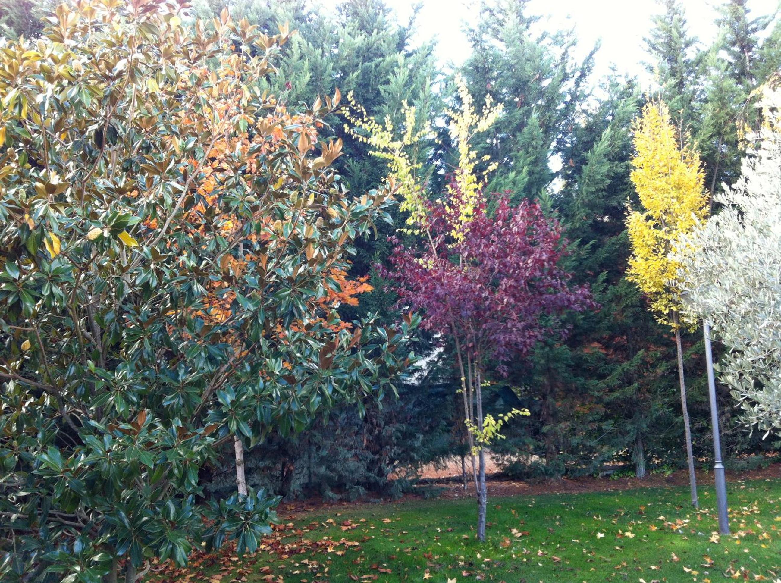 La Alberca view 2