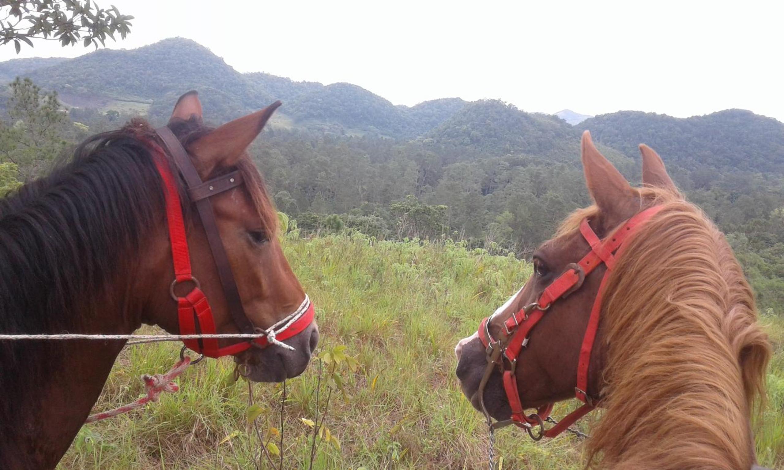 Finca Ixobel, photo 21