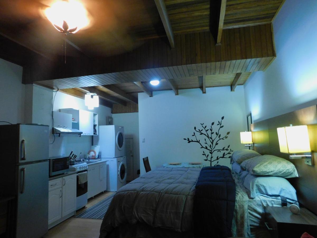 Modern Studio Loft Apt King Bed 10 min frm airport