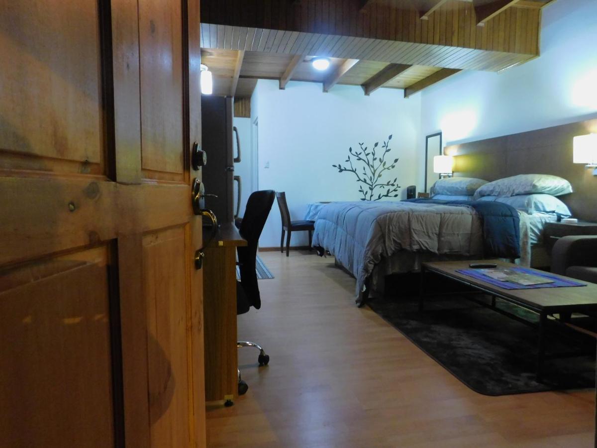 Modern Studio Loft Apt King Bed 10 min frm airport