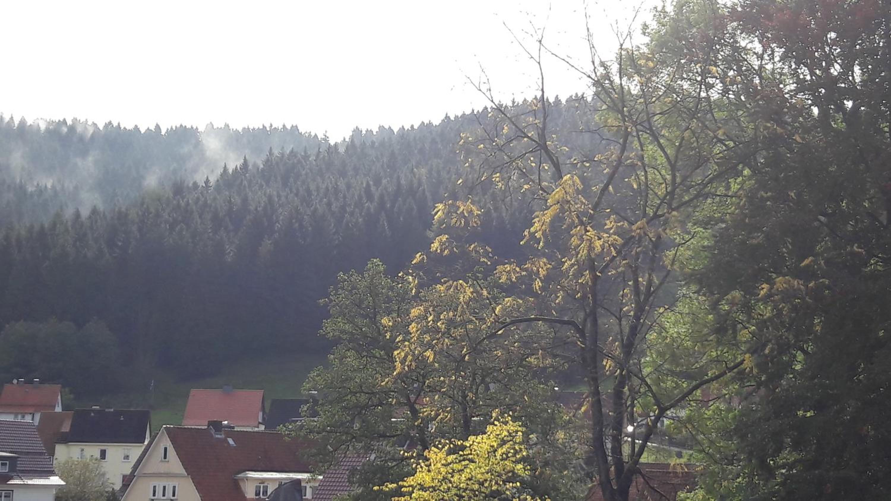 Villa Pusteblume