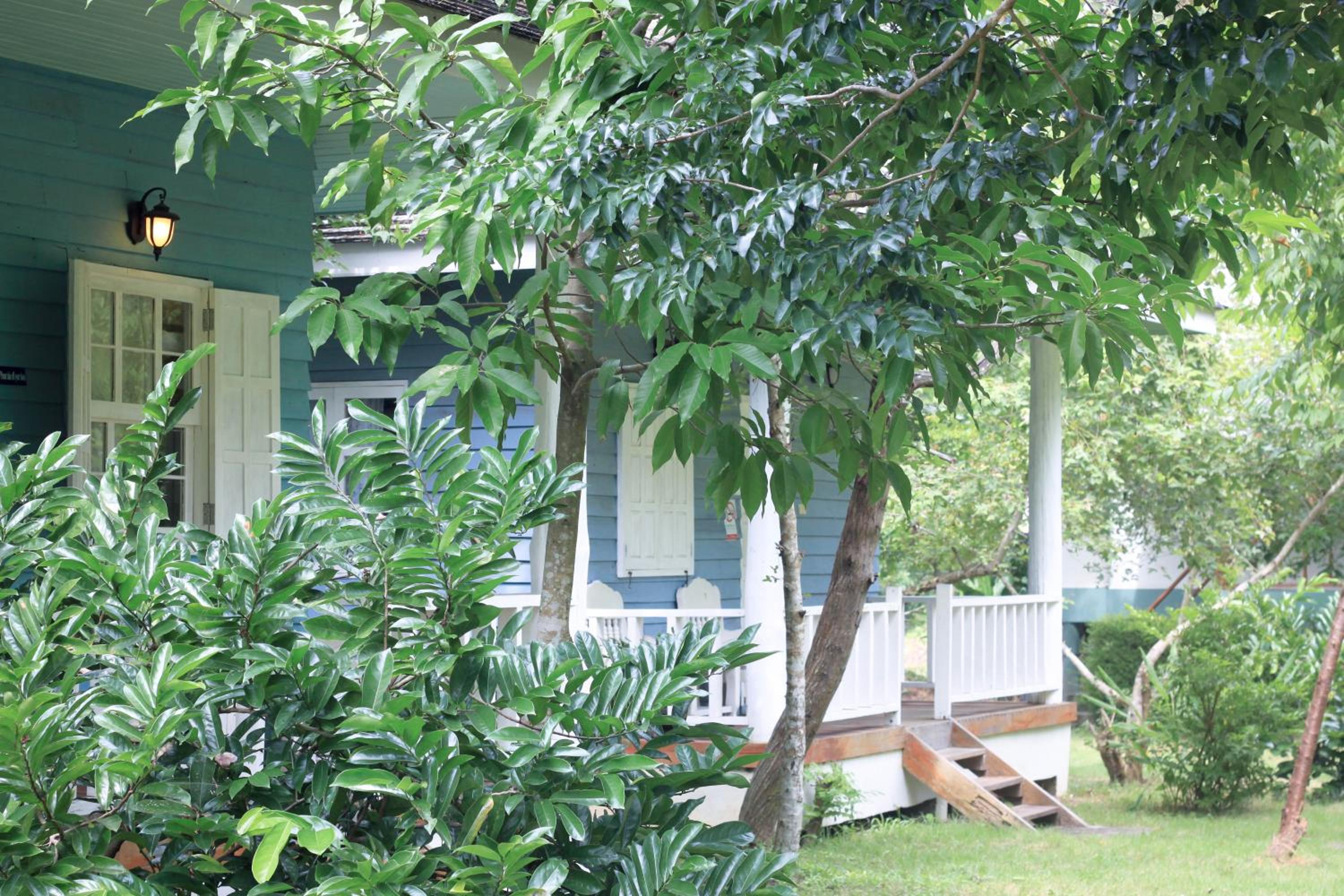 Pai Flora Resort
