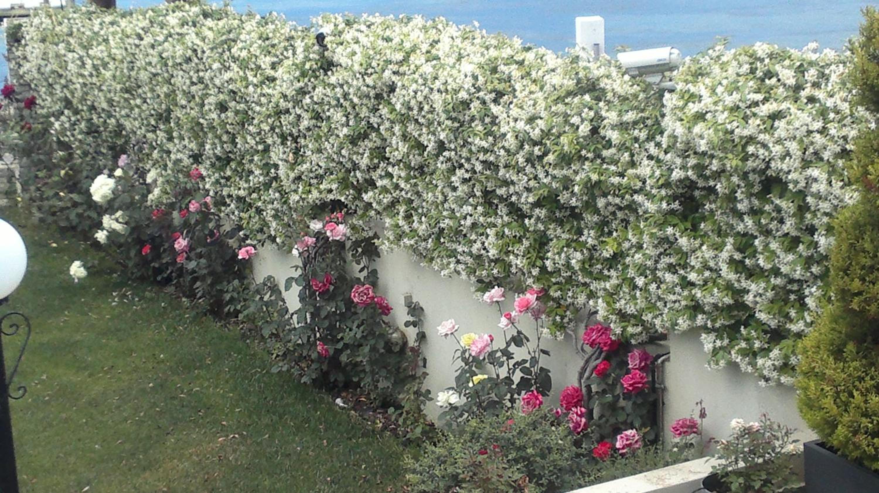 Villa Markos