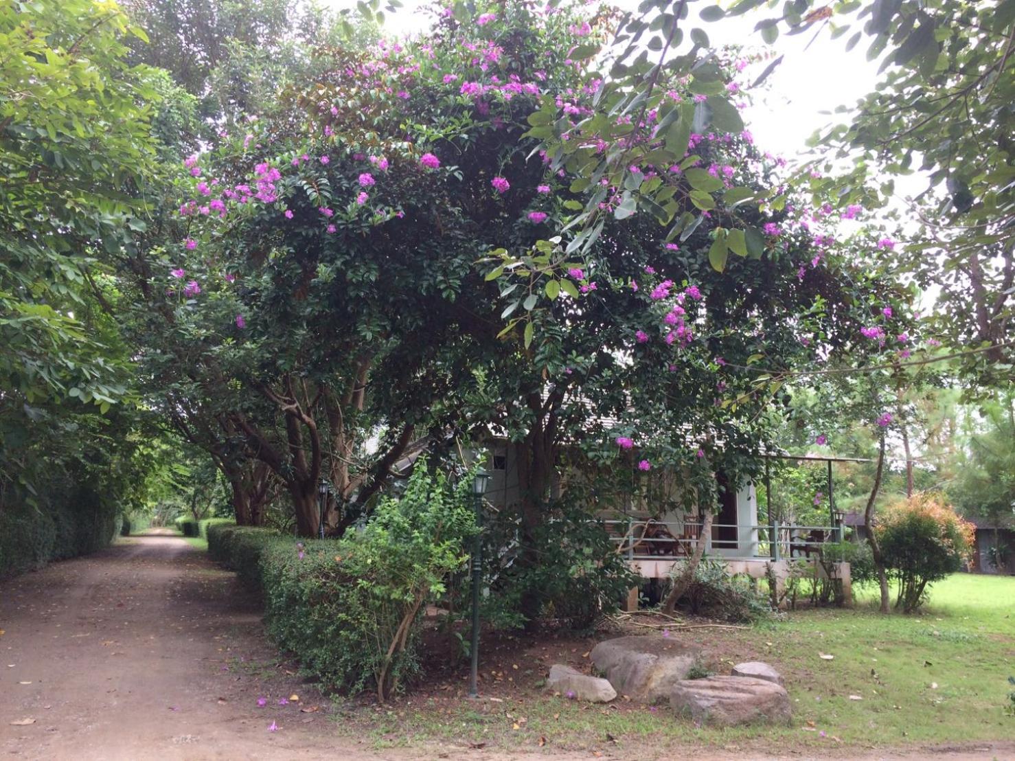 Pai Flora Resort