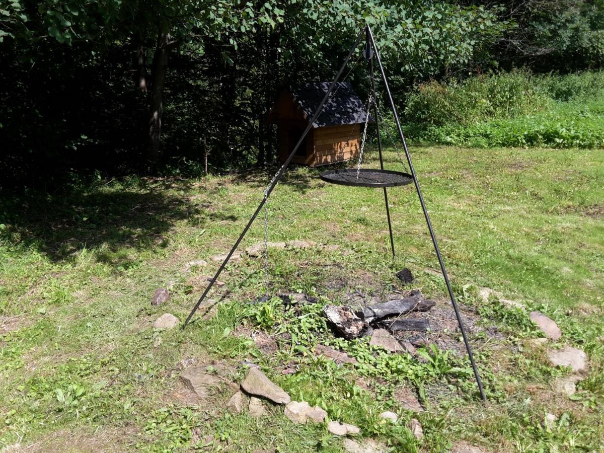 Photo 38