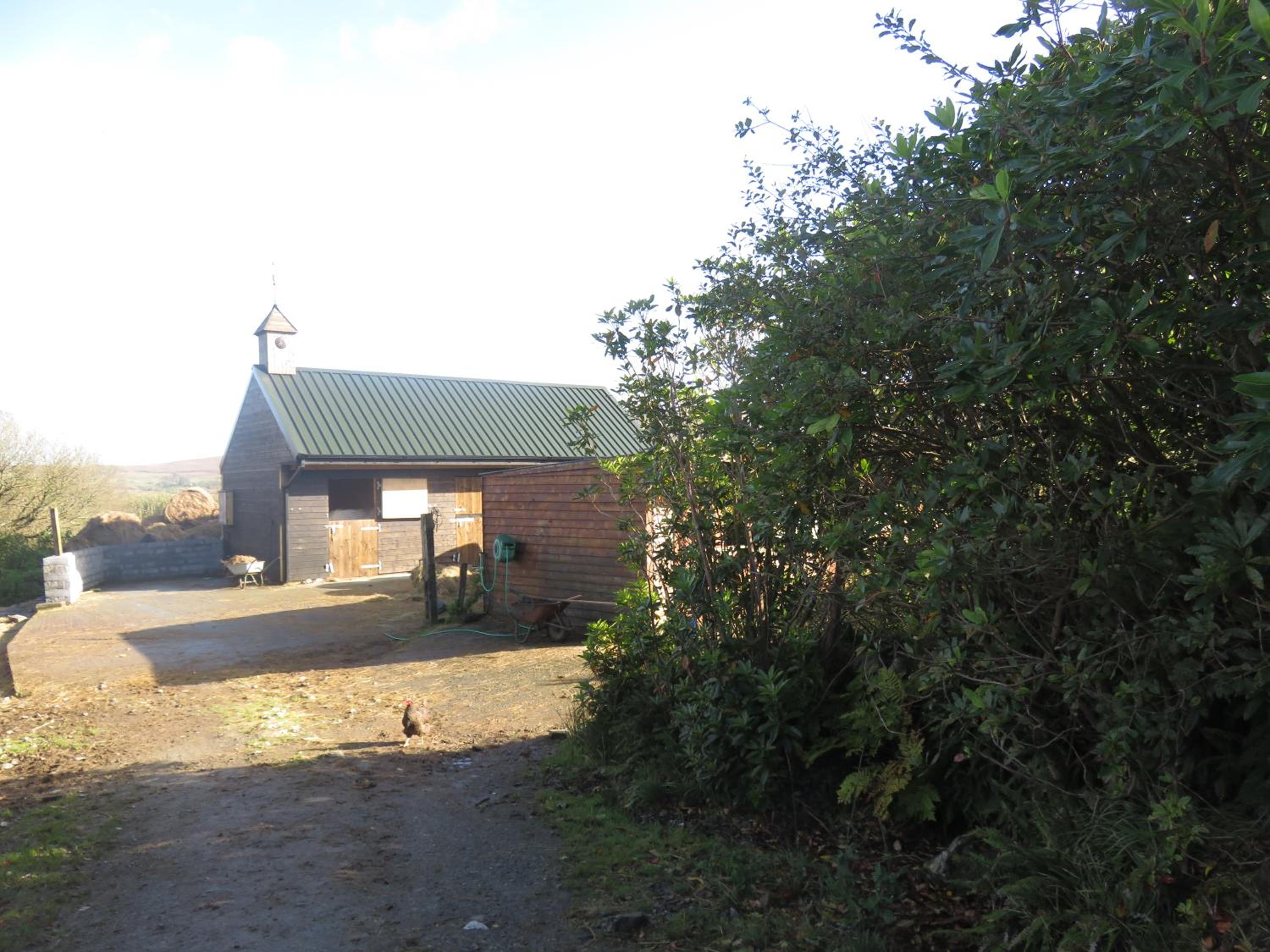 Photo 13